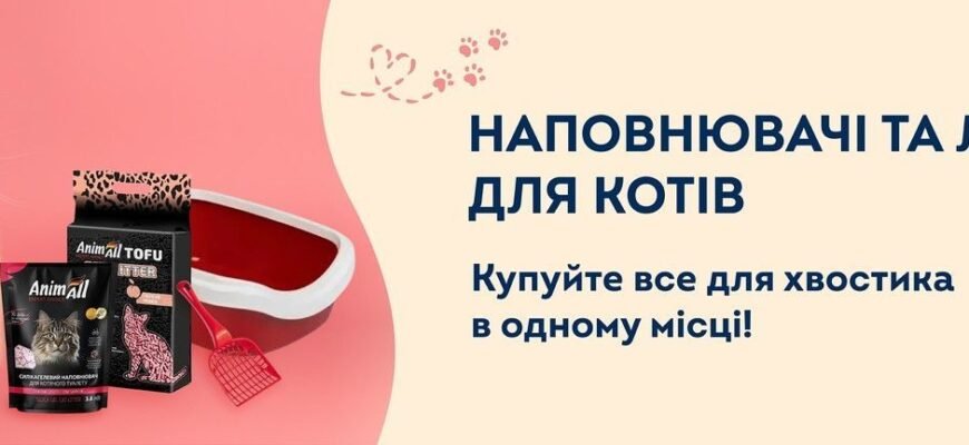 Ефективний захист: обираємо найкращий засіб від кліщів для котів