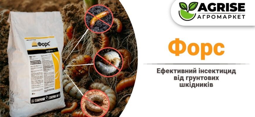 Ефективний захист вашого дому: Як провести форс від шкідників?