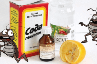 Ефективний засіб Аргус: як позбутися тарганів швидко і назавжди