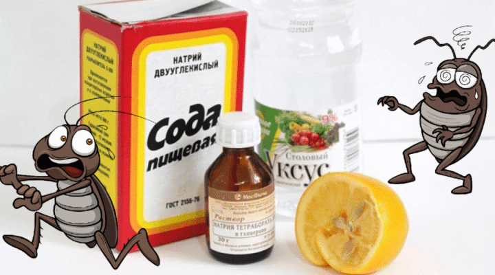 Ефективний засіб Аргус: як позбутися тарганів швидко і назавжди