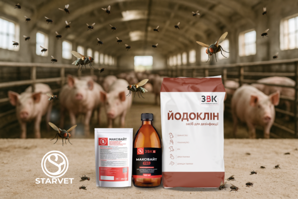 Ефективний засіб для боротьби з мухами у свинарнику: огляд рішень