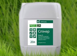 Ефективний засіб для боротьби з пирієм: найкращі методи та поради