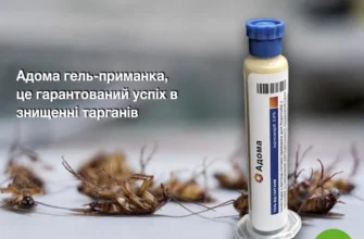 Ефективний засіб Комбат для боротьби з тарганами: огляд і переваги