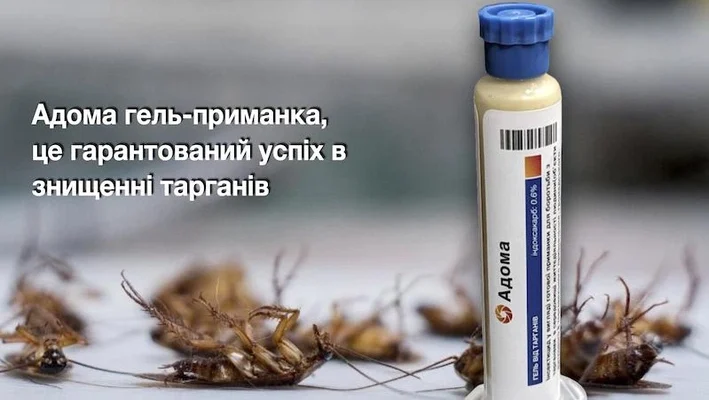 Ефективний засіб Комбат для боротьби з тарганами: огляд і переваги