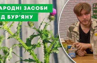 Ефективний засіб від бур’янів: швидке очищення саду без зайвих зусиль