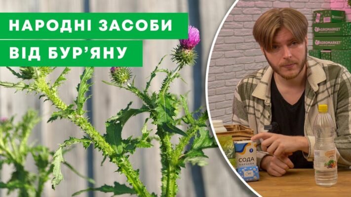 Ефективний засіб від бур’янів: швидке очищення саду без зайвих зусиль