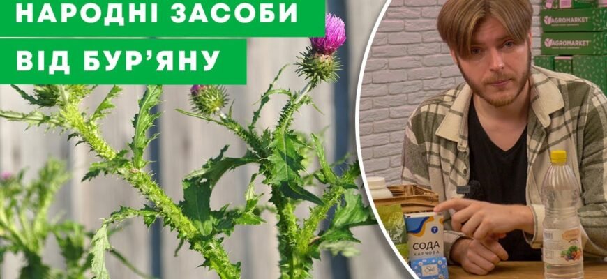 Ефективний засіб від бур’янів: швидке очищення саду без зайвих зусиль