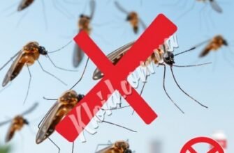 Ефективний засіб від комах: як обрати найкращий варіант для дому