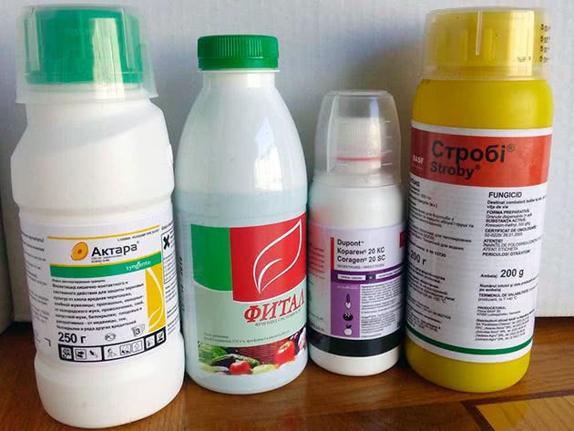 Засоби захисту від мурах купити в Україні, ціна - Agroretail