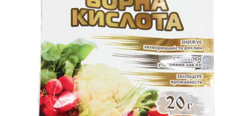 Ефективний засіб від тарганів на основі борної кислоти: інструкція застосування
