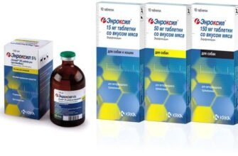 Енроксил: від яких захворювань допомагає цей антибактеріальний препарат?