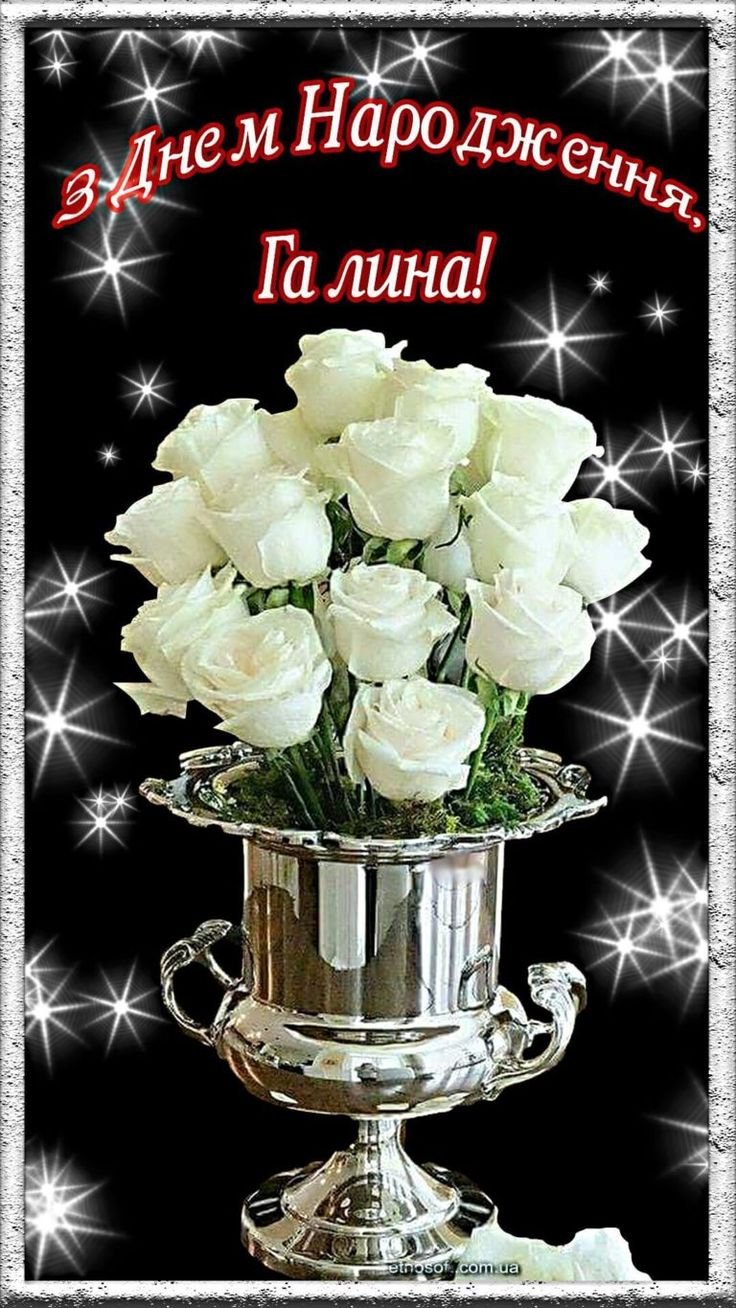 Etnosoft - Кулінарні рецепти українською, заготовки, привітання і хобі