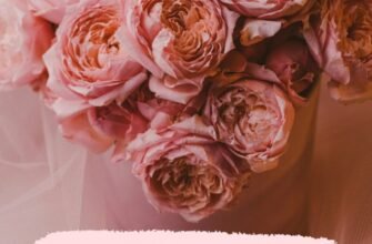 Гарні листівки для привітань батькам з днем народження донечки