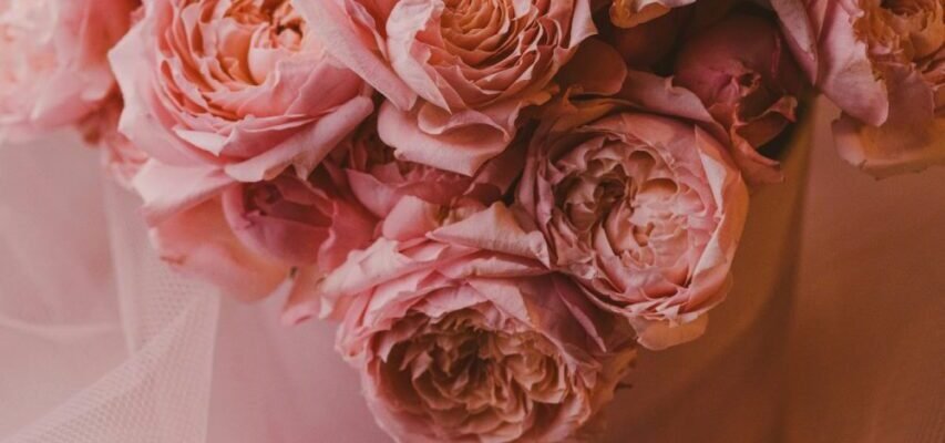 Гарні листівки для привітань батькам з днем народження донечки