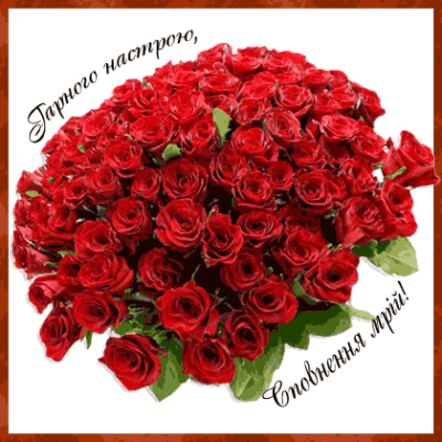 Гарні привітання для жінок: Картинки з днем народження для настрою