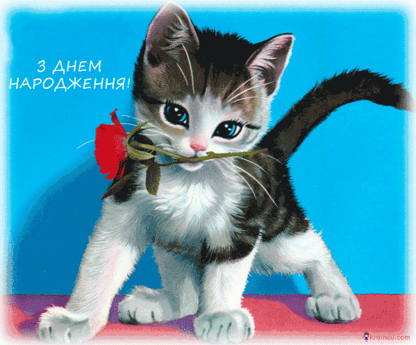 Анімаційні листівки з Днем Народження