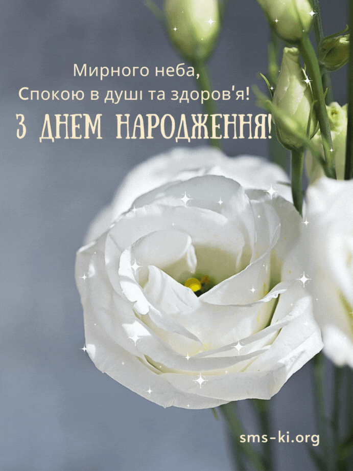 З днем народження - анімація - Листівка З днем народження ...