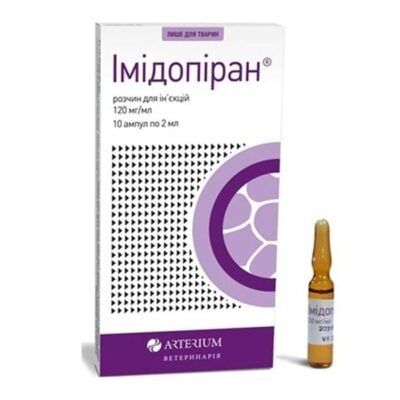 Імідопіран для собак: від чого захищає препарат і як використовувати