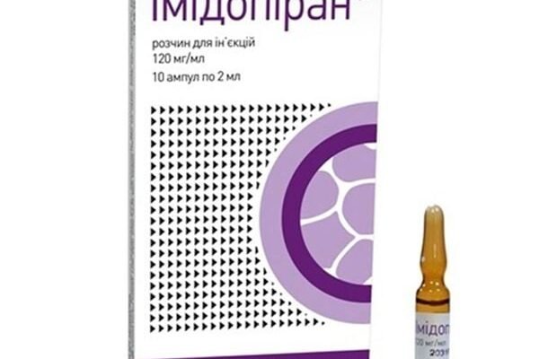 Імідопіран для собак: від чого захищає препарат і як використовувати