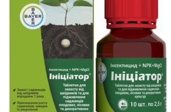 Ініціатор від хруща: ефективні методи боротьби з шкідником рослин
