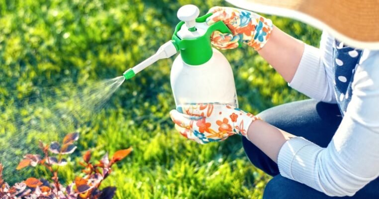 Інсектициди проти тлі: ефективні засоби захисту рослин від шкідників