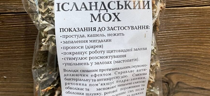 Ісландський мох від кашлю: ефективні способи заварювання та застосування