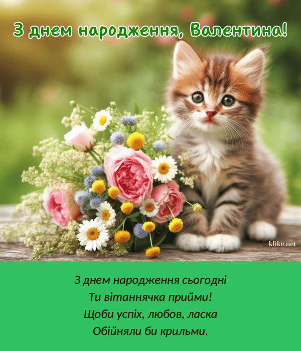 Валічка З Днем Народження На Українській Мові | TikTok