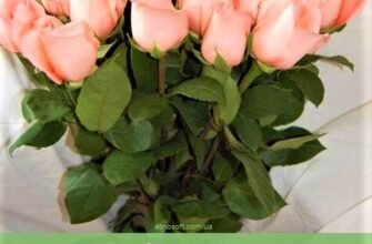 Картинки з Днем народження для мами: найкращі привітання в зображеннях