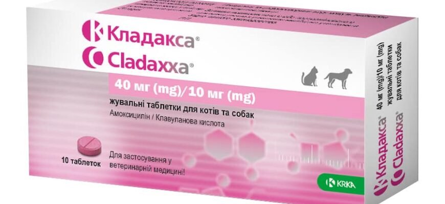 Кладакса: основні причини та фактори виникнення захворювання