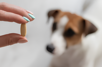 Коли й як правильно давати цуценятам препарати від глистів: поради ветеринарів