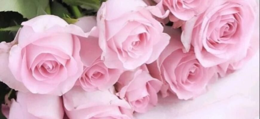 Красиві привітання з днем народження: фото та оригінальні ідеї