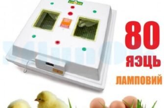 Купити інкубатор Квочка від виробника: вигідні пропозиції та ціни