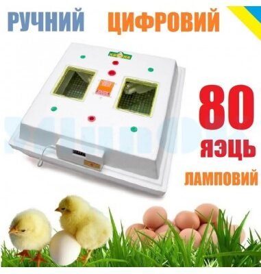Купити інкубатор Квочка від виробника: вигідні пропозиції та ціни