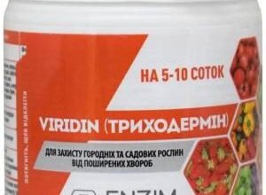 Купити триходермін від виробника: вигідні умови та якість гарантуємо