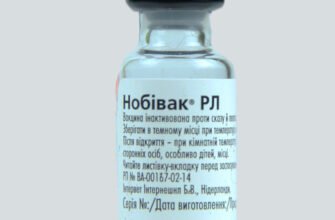 Купити вакцину від сказу: швидке та надійне рішення для вашого здоров’я