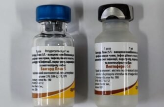 Лептоферм С1: Від чого допомагає та як правильно застосовувати?