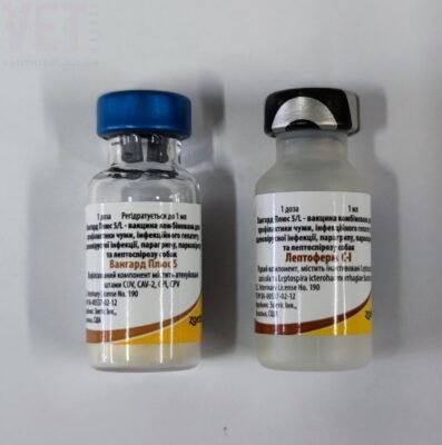 Лептоферм С1: Від чого допомагає та як правильно застосовувати?