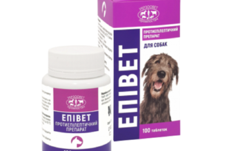 Ліки від отруєння у собак: ефективні методи лікування та профілактика