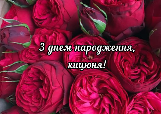 Листівки з Днем Народження для Жінки: Оберіть Ідеальний Дизайн