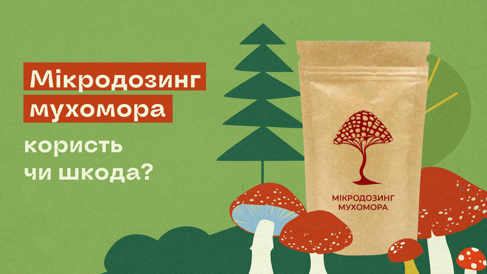 Мікродозинг мухомора – користь чи шкода | Дідусь Мухомор