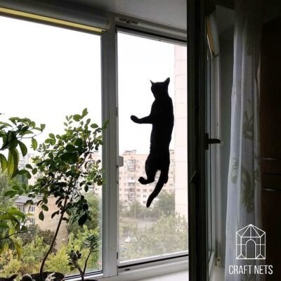 Надійні методи захисту вікон від допитливих котів: поради та рішення