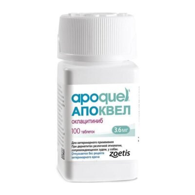 Найефективніші таблетки від алергії для вашого собаки: огляд і поради