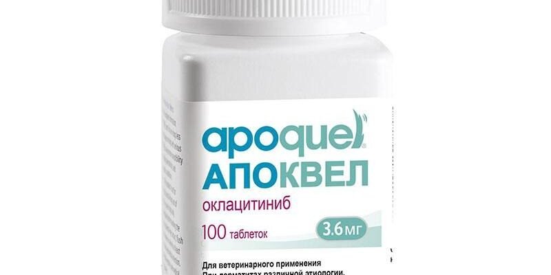 Найефективніші таблетки від алергії для вашого собаки: огляд і поради