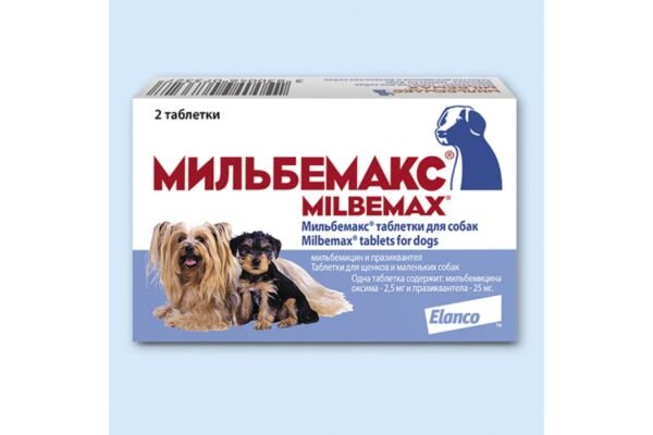 Найефективніші таблетки від глистів для собак: вибір та поради ветеринарів