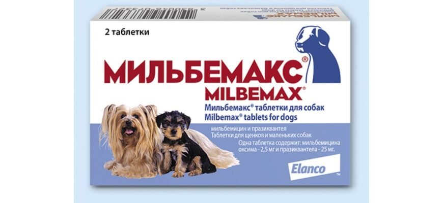 Найефективніші таблетки від глистів для собак: вибір та поради ветеринарів