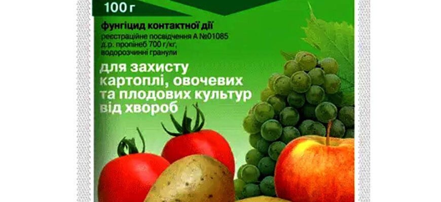 Найефективніший фунгіцид для боротьби з антракнозом: огляд та вибір