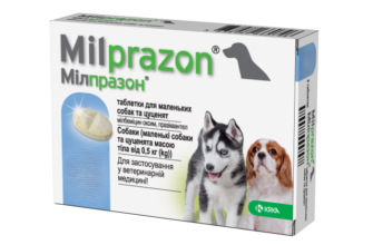 Найкращі таблетки від глистів для цуценят: як обрати та застосувати