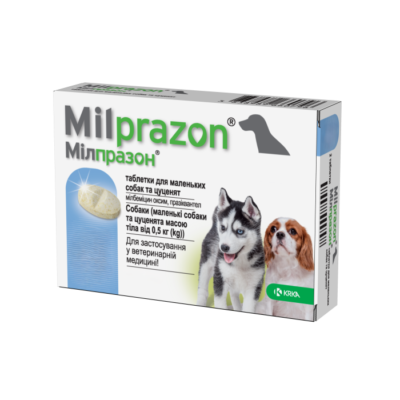 Найкращі таблетки від глистів для цуценят: як обрати та застосувати