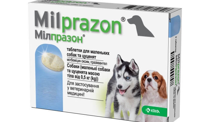 Найкращі таблетки від глистів для цуценят: як обрати та застосувати