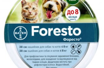 Найкращий нашийник для собак: захист від бліх і кліщів гарантовано
